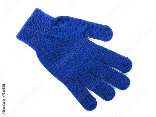 The glove
