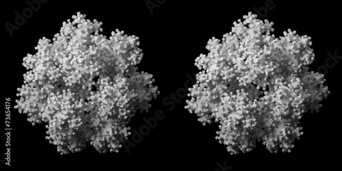 Fotografija Solid 3D fractal stereo pair.