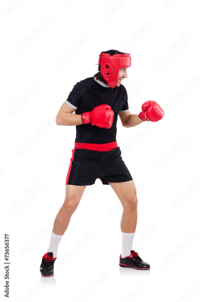 Funny boxer isolated on the white Funny boxer isolated on the white
