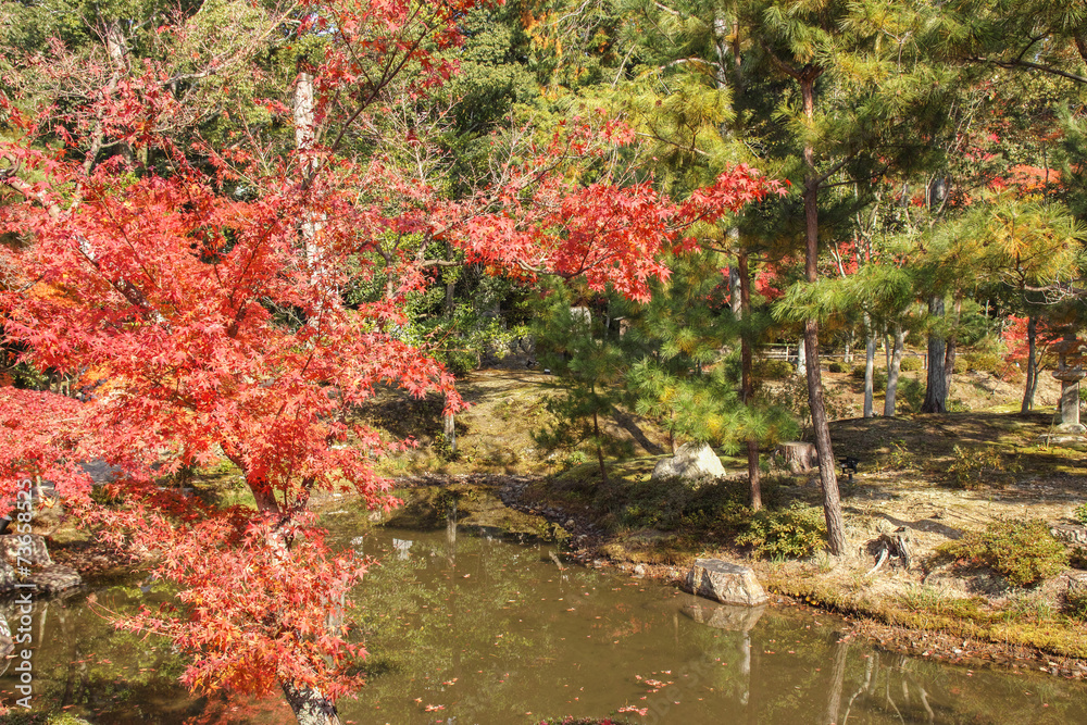 京都　紅葉　等持院