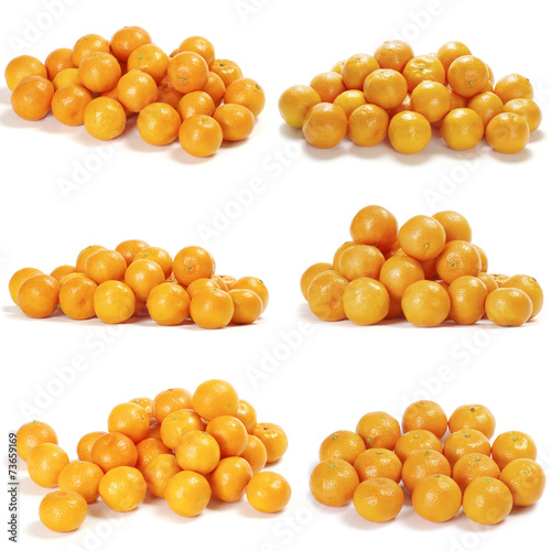 Collection of juicy tangerines or mandarins isolated on white background