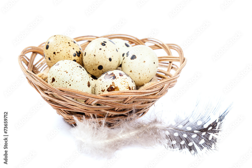 Quail eggs in a basket on white background.
