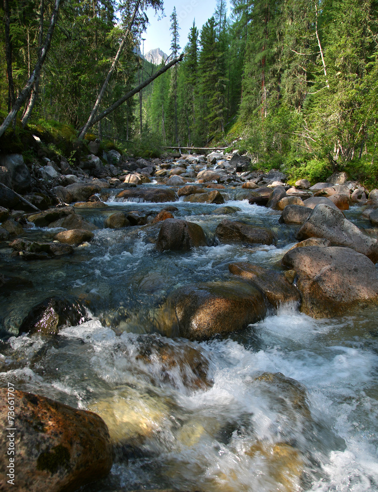 fast stream of the mountain river fast stream of the mountain river