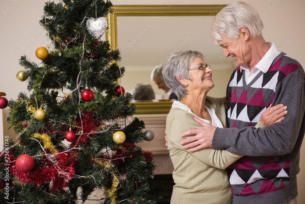 Senior couple decorating their christmas tree Senior couple decorating their christmas tree