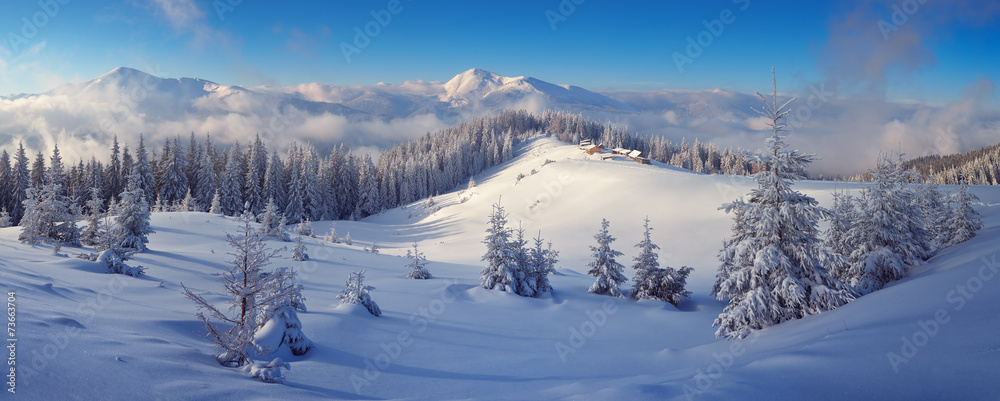 Naklejka premium Winter Landscape