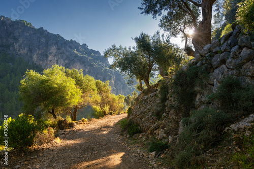 Tramuntana Gebirge auf Mallorca photo