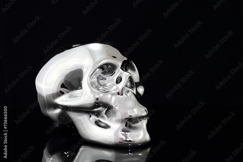 the skull silver the skull silver