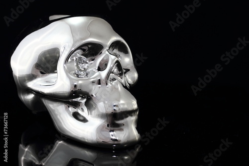 the skull silver