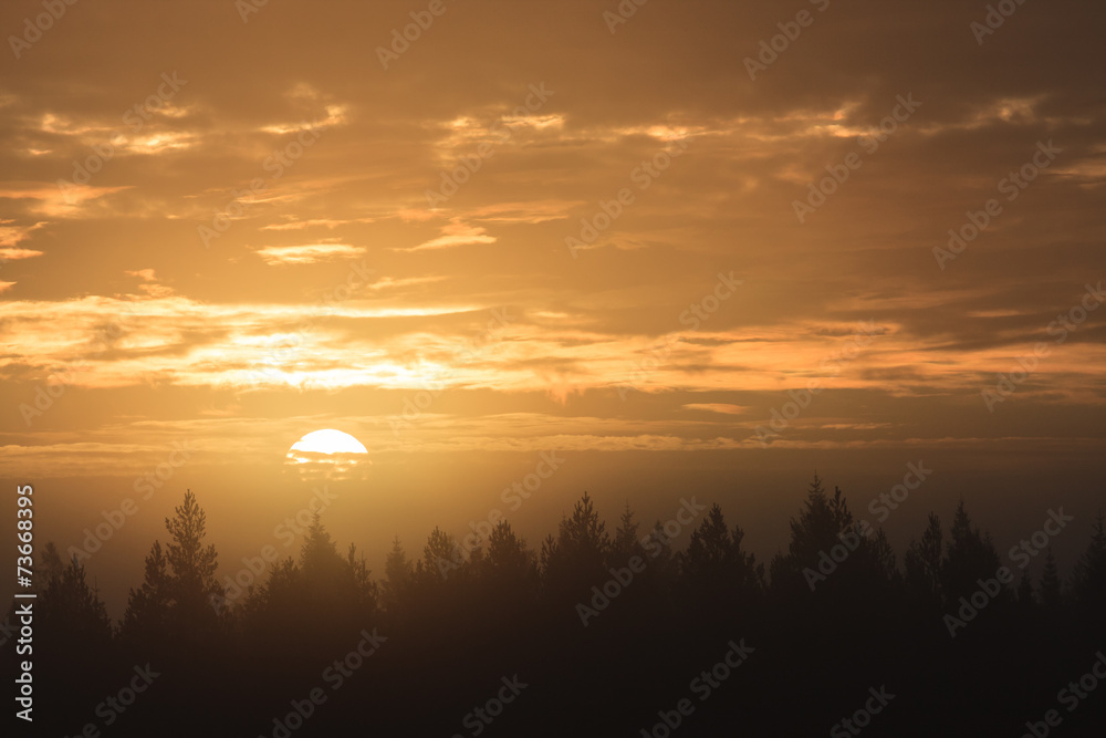 Fototapeta premium Sunrise over forest