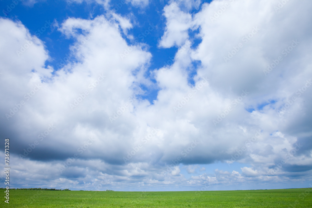 green boundless field green boundless field