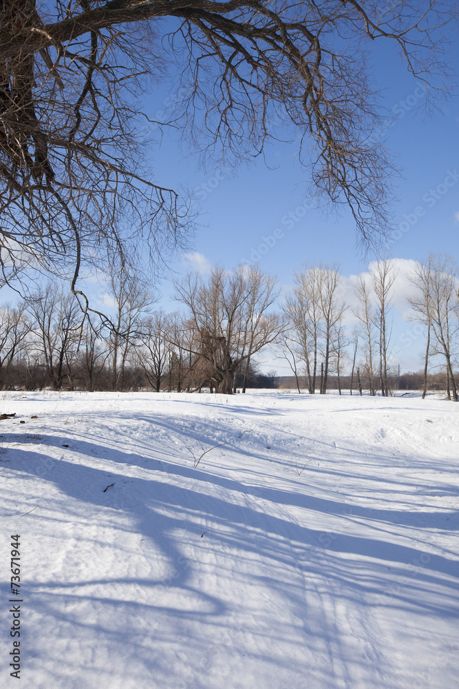 winter sunny landscape winter sunny landscape