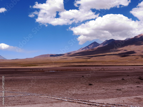 Altiplano P  ruvien