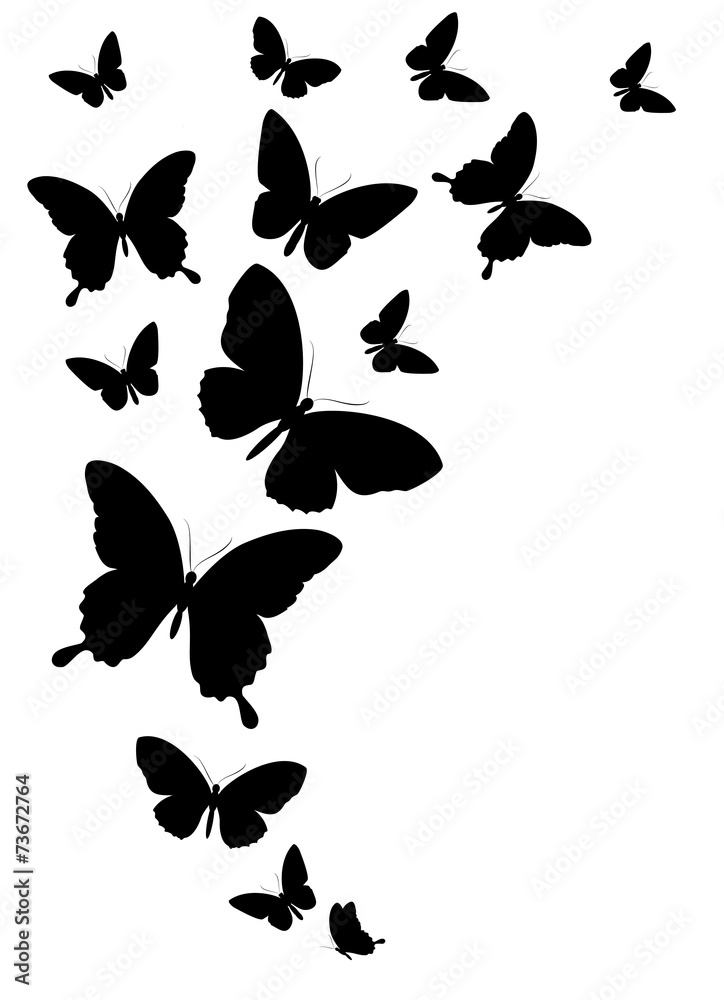Fototapeta premium butterflies design