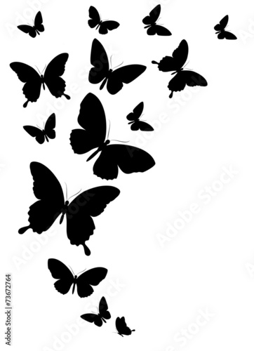 butterflies design