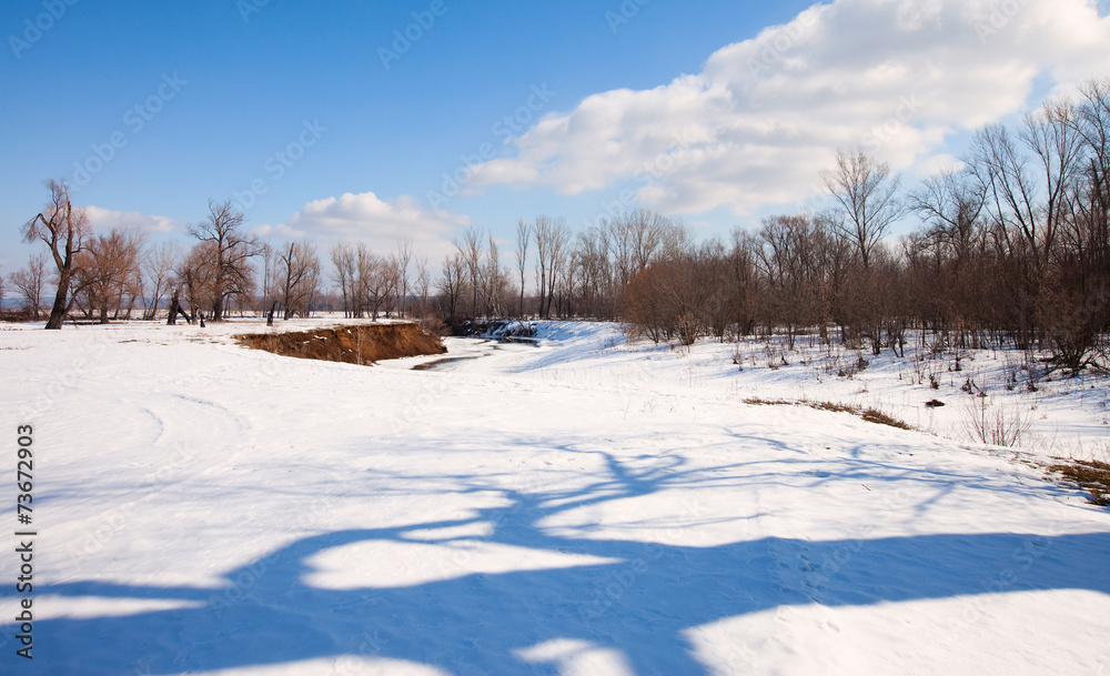 Obraz premium early spring