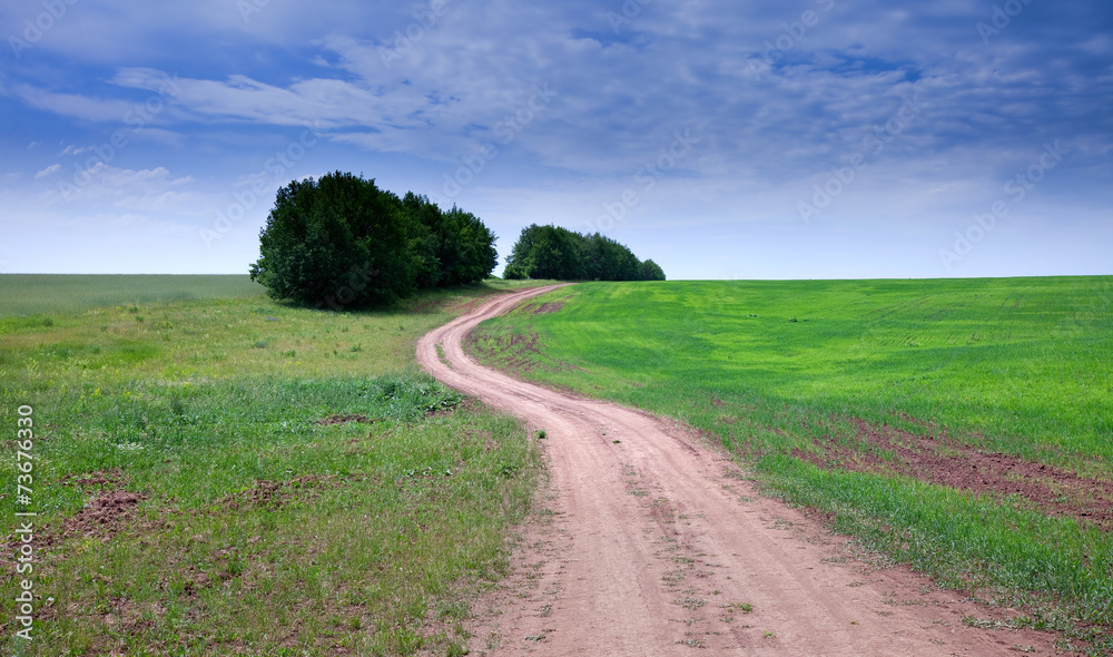 walk in the field walk in the field