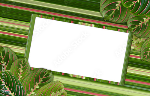Frame for inscriptions surrounded by leaves photo