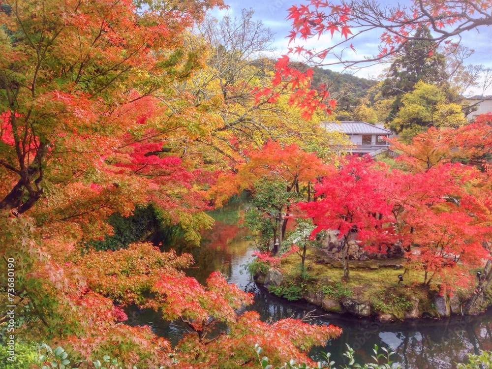 秋の日本庭園