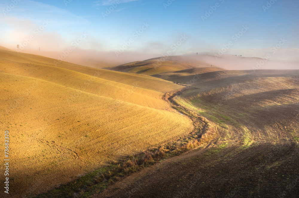 Naklejka premium Beautiful mists in rolling fields in Tuscany, Italy