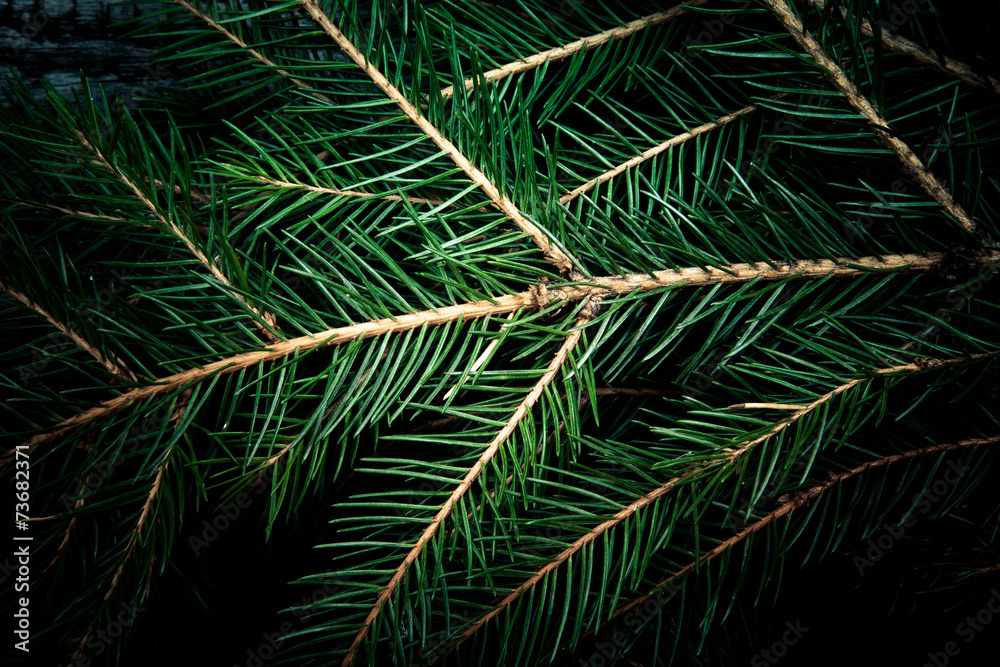 Background of Christmas tree branches.tinted Background of Christmas tree branches.tinted