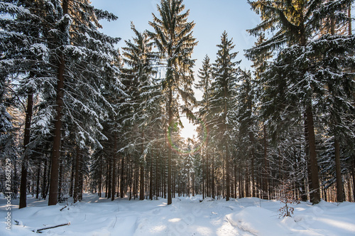 Winterlandschaft