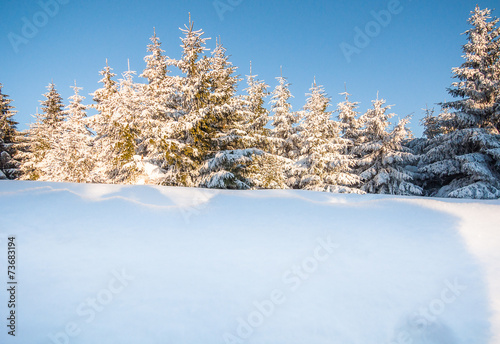 Winterlandschaft photo