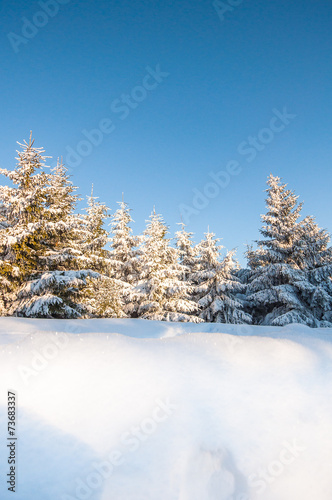 Winterlandschaft
