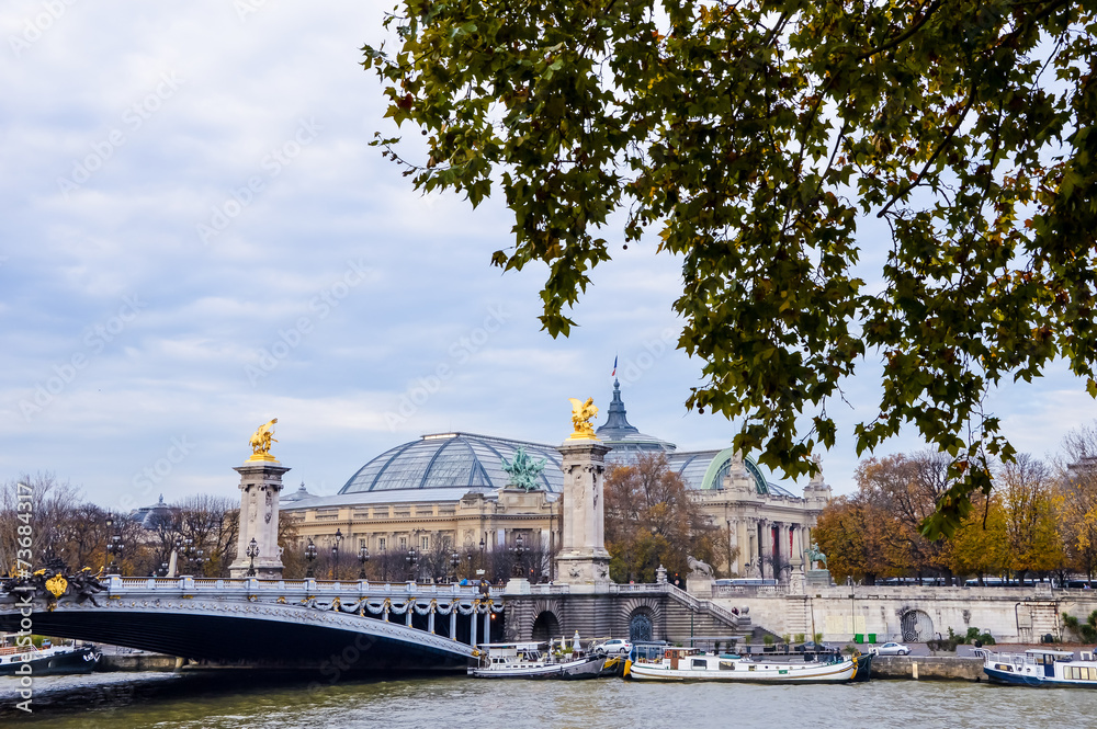 Naklejka premium View of a bridge in Paris