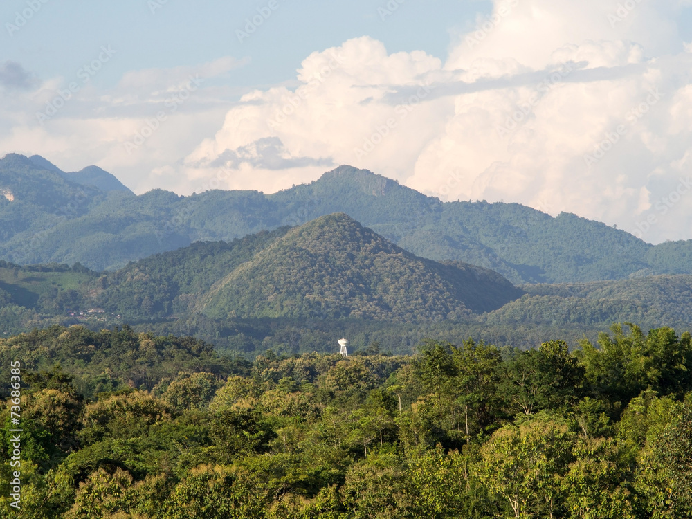 Fototapeta premium Tea garden under cloudy blue sky in Chiangrai