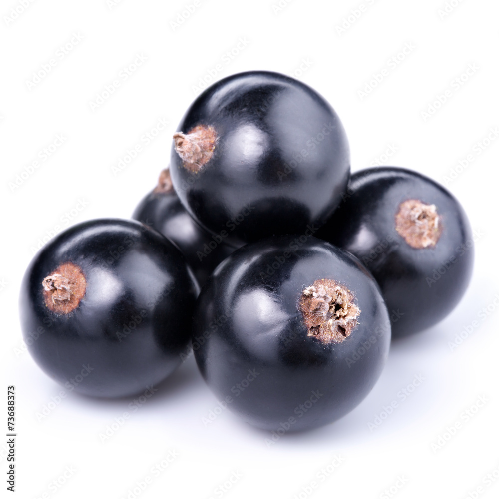 currant currant