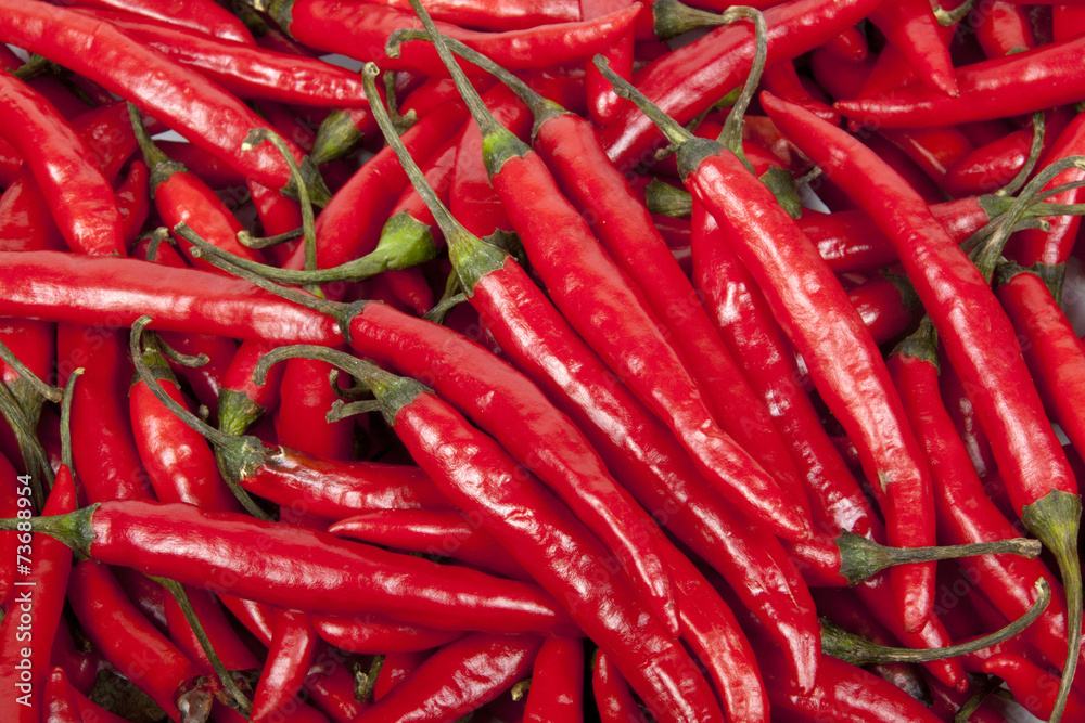 Closeup Collection of Bright Shiny Red Chillies