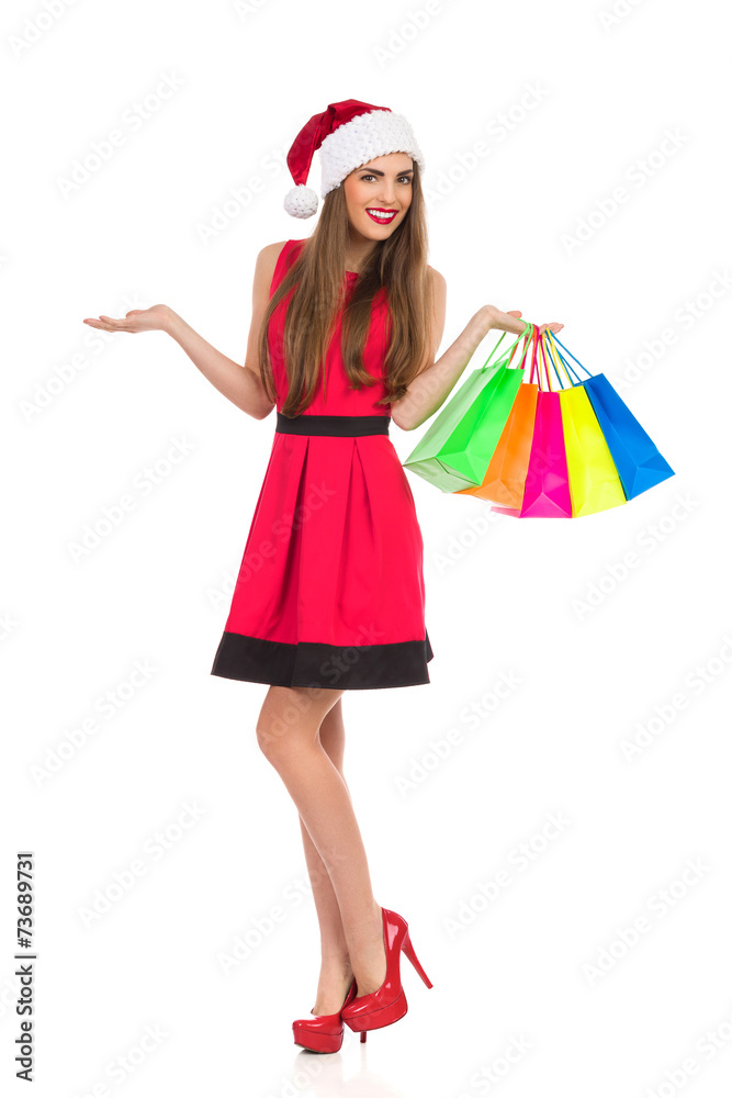 Christmas girl posing with shopping bags