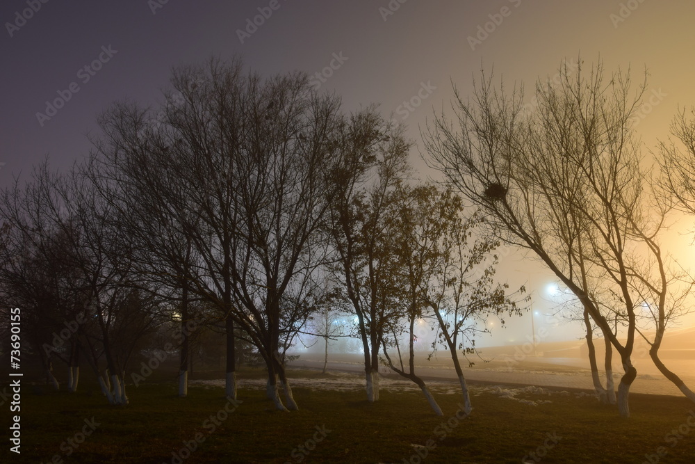 A night view in the park in foggy weather