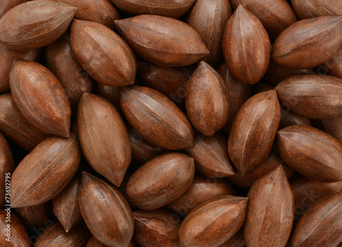 Pecan nuts background