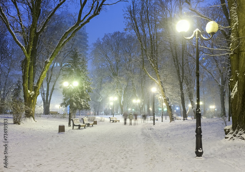 Footpath in a fabulous winter city park