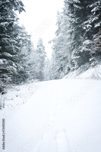 Wintereinbruch © bildschoenes