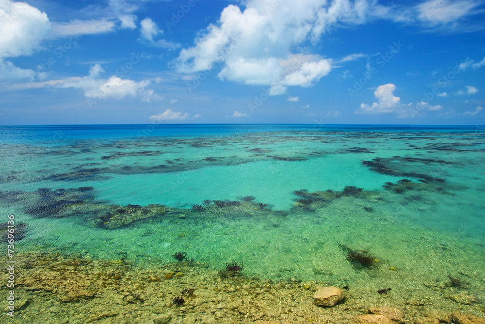 tropical sea at bermuda