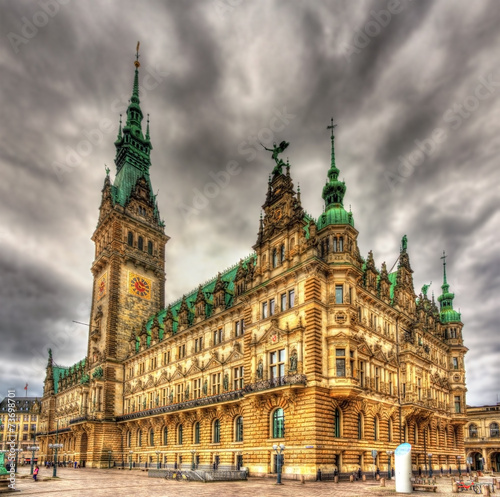 View of Hamburg City Hall - Germany © Leonid Andronov