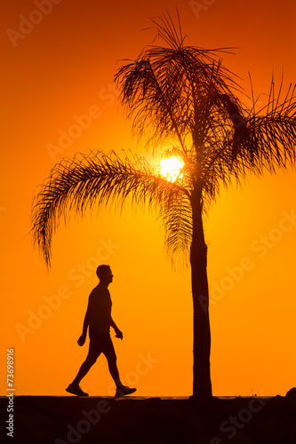 silhouette of man walking beside palm tree on the sunset