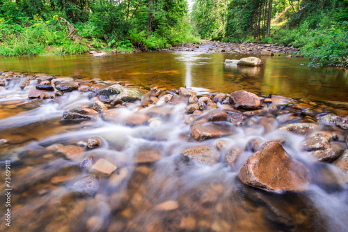 Mountain stream flowing between the stones