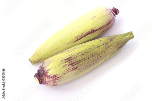 Purple Corn - Stock Image