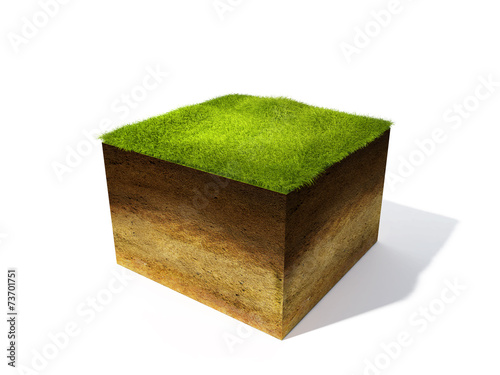 3d illustration of cross section of ground with grass isolated o