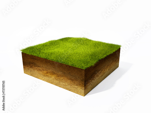3d illustration of cross section of ground with grass isolated o