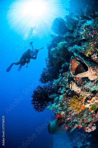 Diver, sponge, crinoid, black sun coral in Banda underwater photo