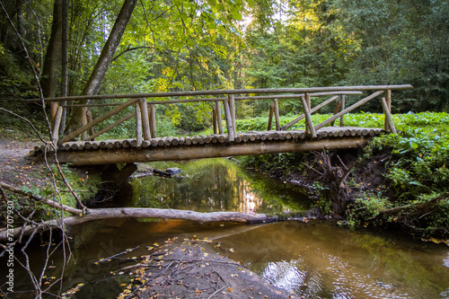 bridge of logs