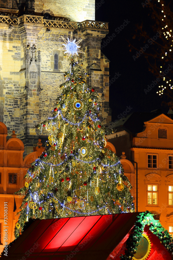 Christmas Tree on the Old Town Square, Prague