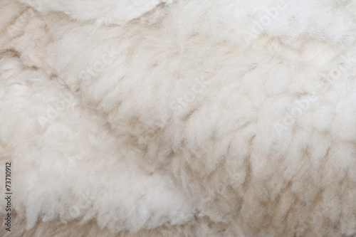 Fotografie sheepskin texture