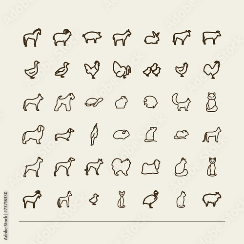 animals in house and on a farm