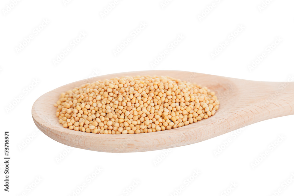 White mustard in a wooden spoon, it is isolated White mustard in a wooden spoon, it is isolated