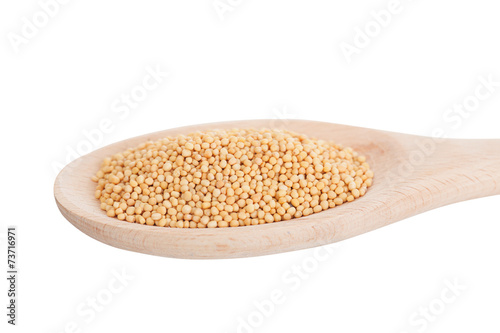 White mustard in a wooden spoon, it is isolated